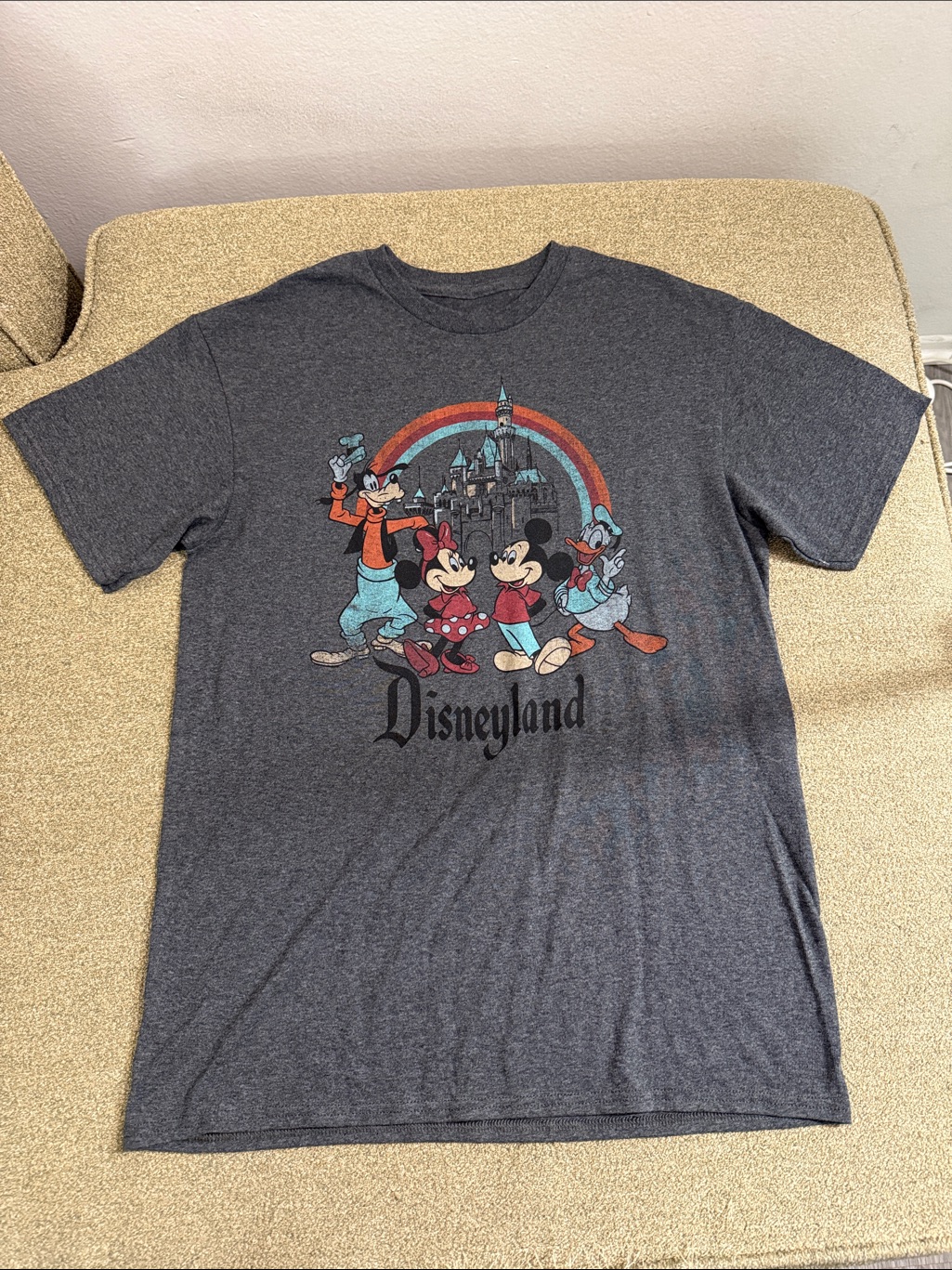 Disneyland Shirt Unisex Sz M Gray Mickey Minnie Donald Duck Goofy Rainbow Castle